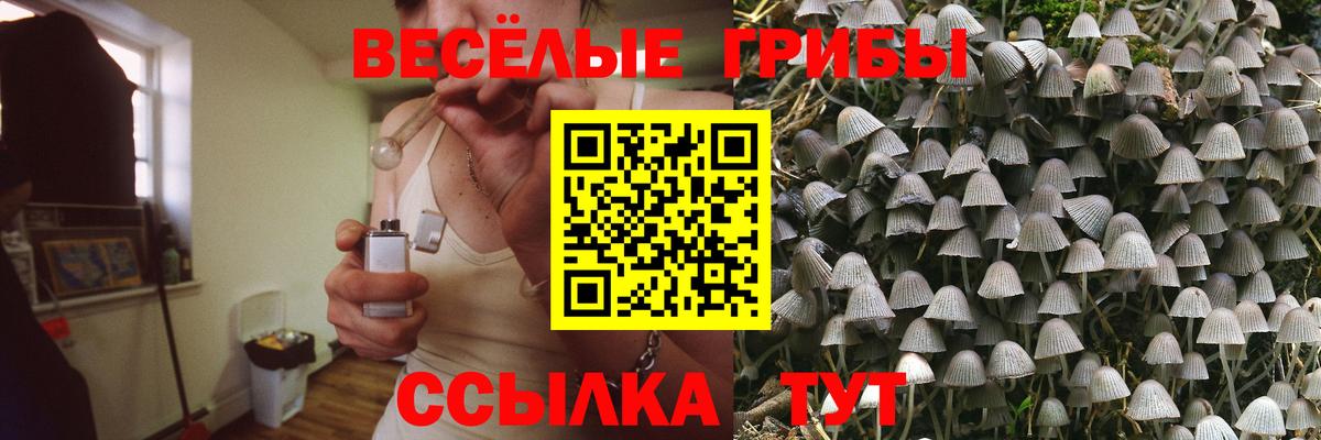 Галлюциногенные грибы Cubensis  магазин    Богородск  Вход с VPN 